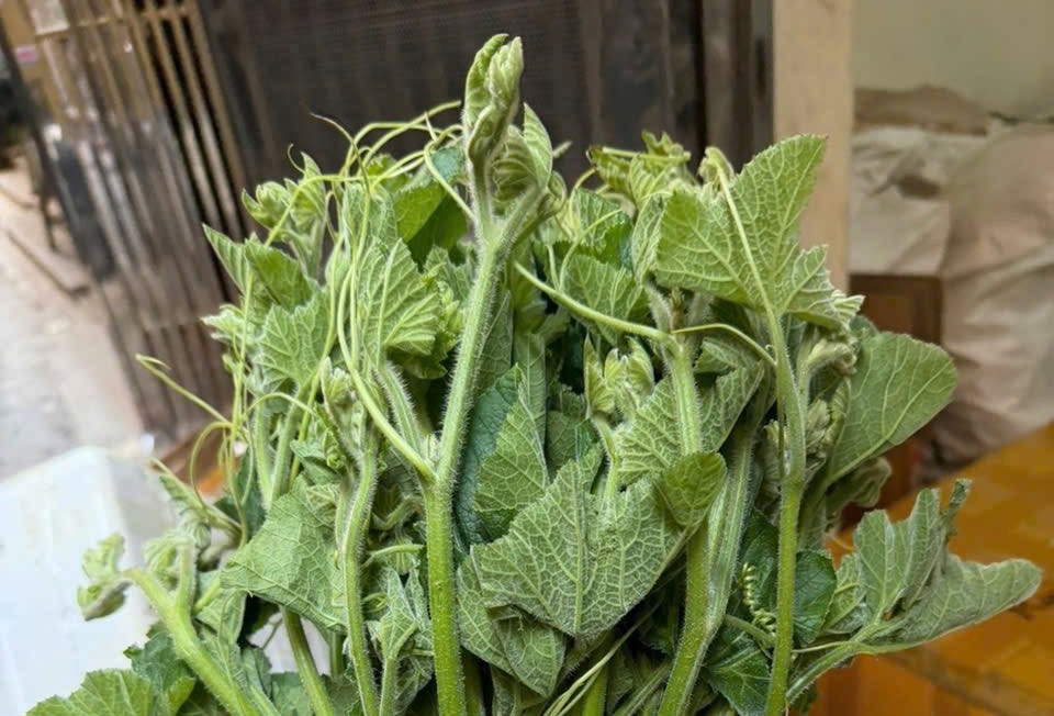 Loại rau xào tỏi vạn người mê, hỗ trợ ổn định huyết áp, tốt cho tiêu hóa