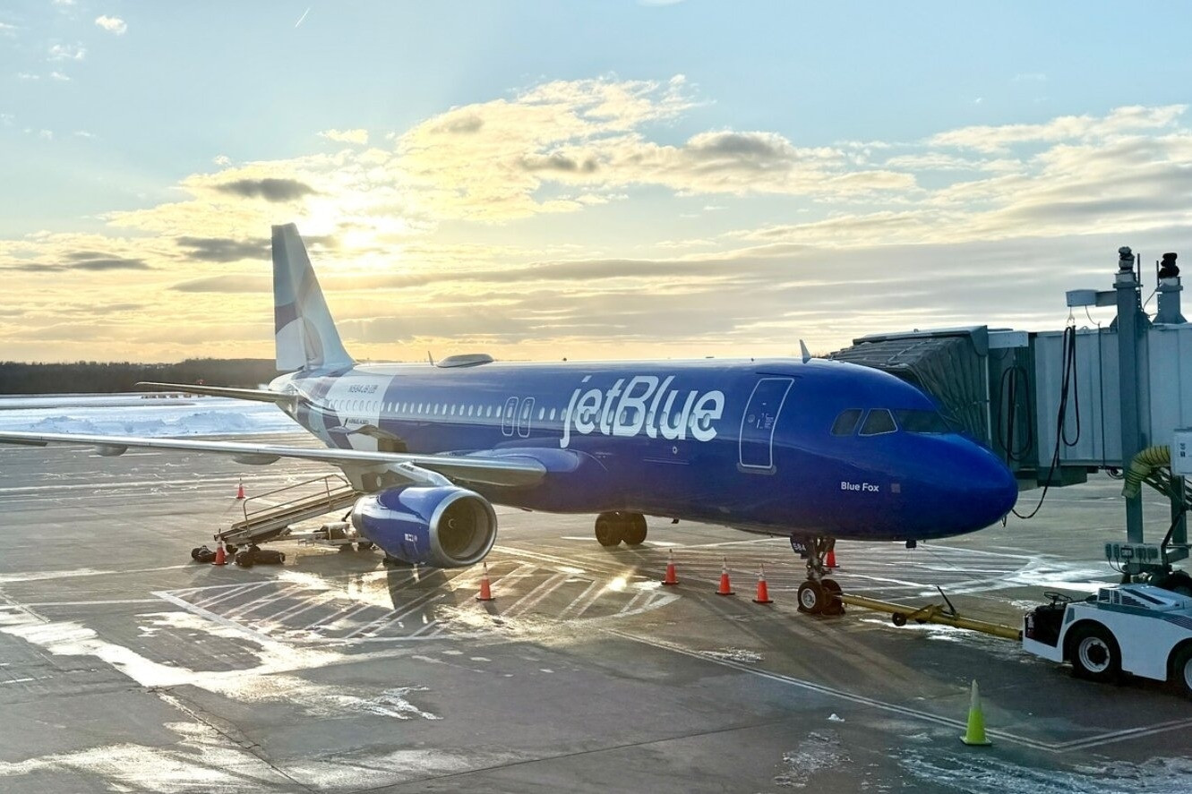 Máy bay quay đầu khẩn cấp sau va chạm với chó sói trên đường băng