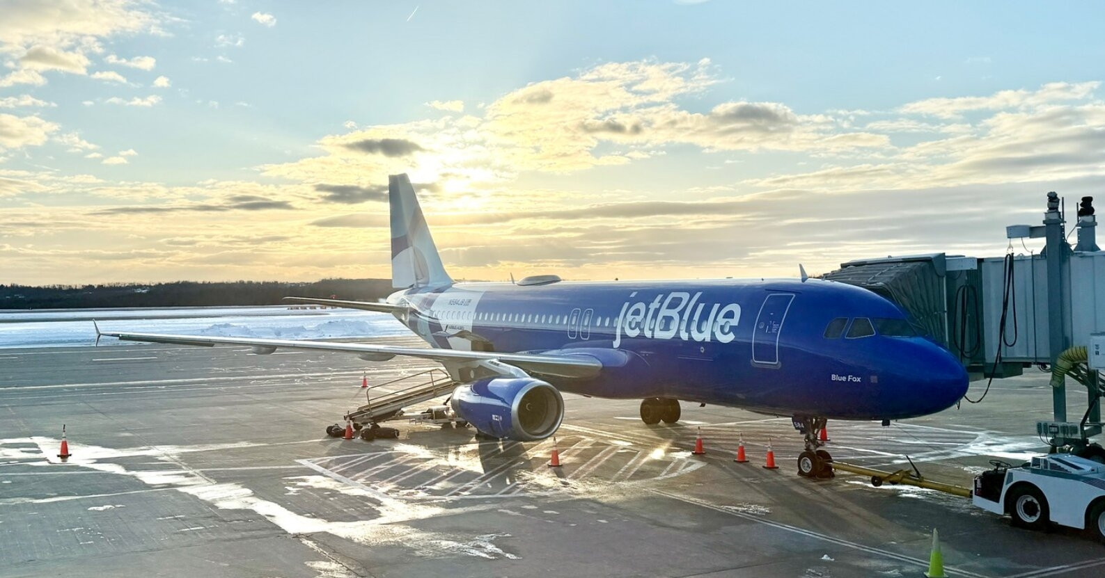 Máy bay quay đầu khẩn cấp sau va chạm với chó sói trên đường băng