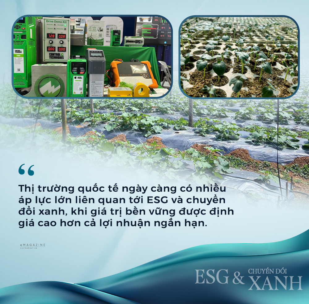 QUOTE 1 ESG va CDX edit.png