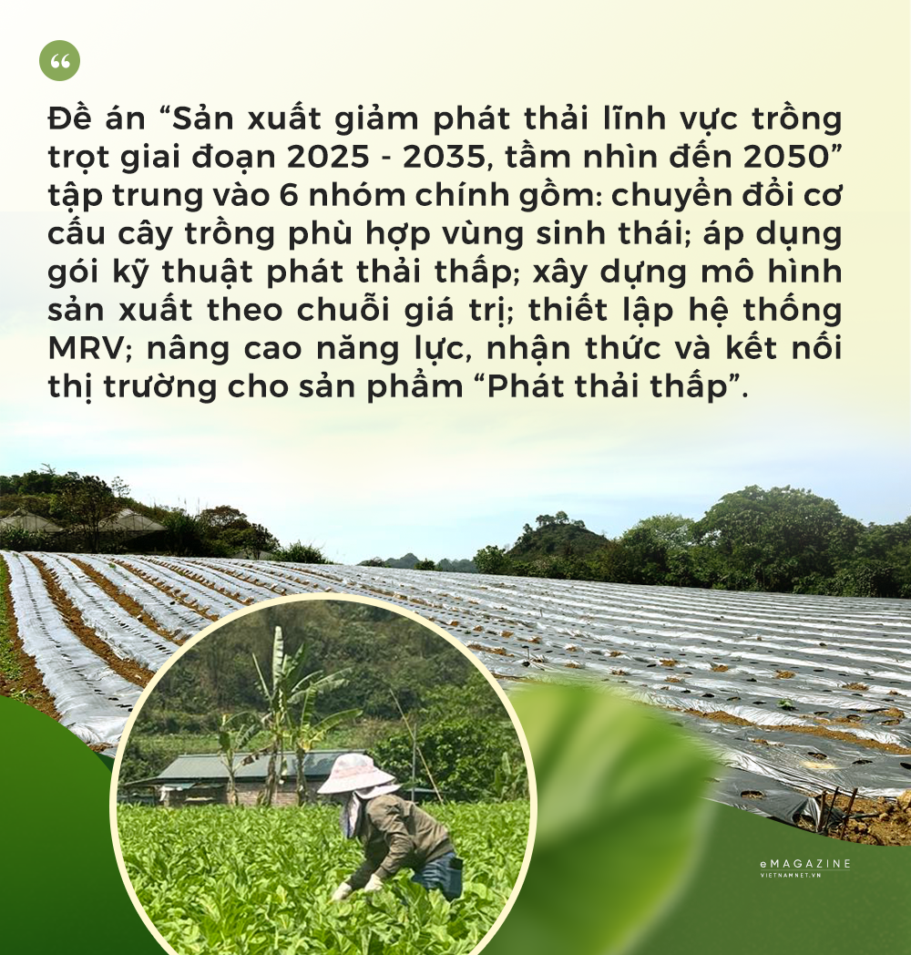 QUOTE 2 trong trot.png