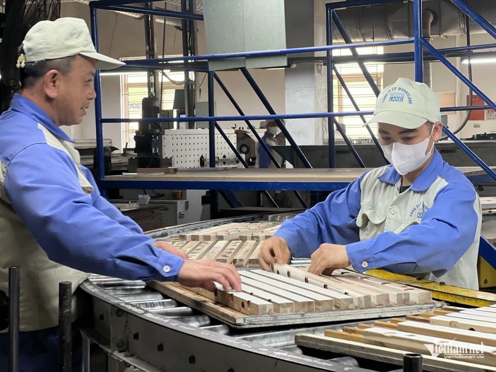 Box https://static-images.vnncdn.net/vps_images_publish/000001/000003/2026/3/25/w-anh-1-dn-viet-2050.jpg