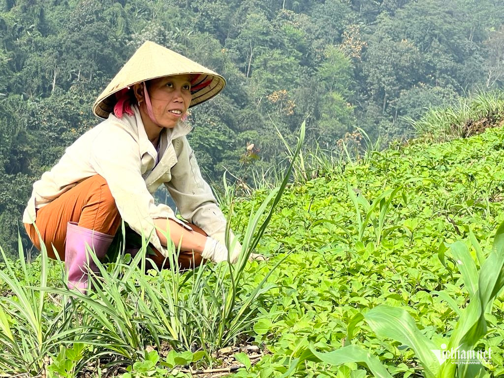 Box https://static-images.vnncdn.net/vps_images_publish/000001/000003/2026/3/25/w-anh-5-2251.jpg