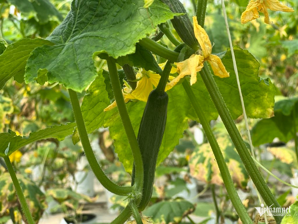 Box https://static-images.vnncdn.net/vps_images_publish/000001/000003/2026/3/25/w-anh-7-2256.jpg