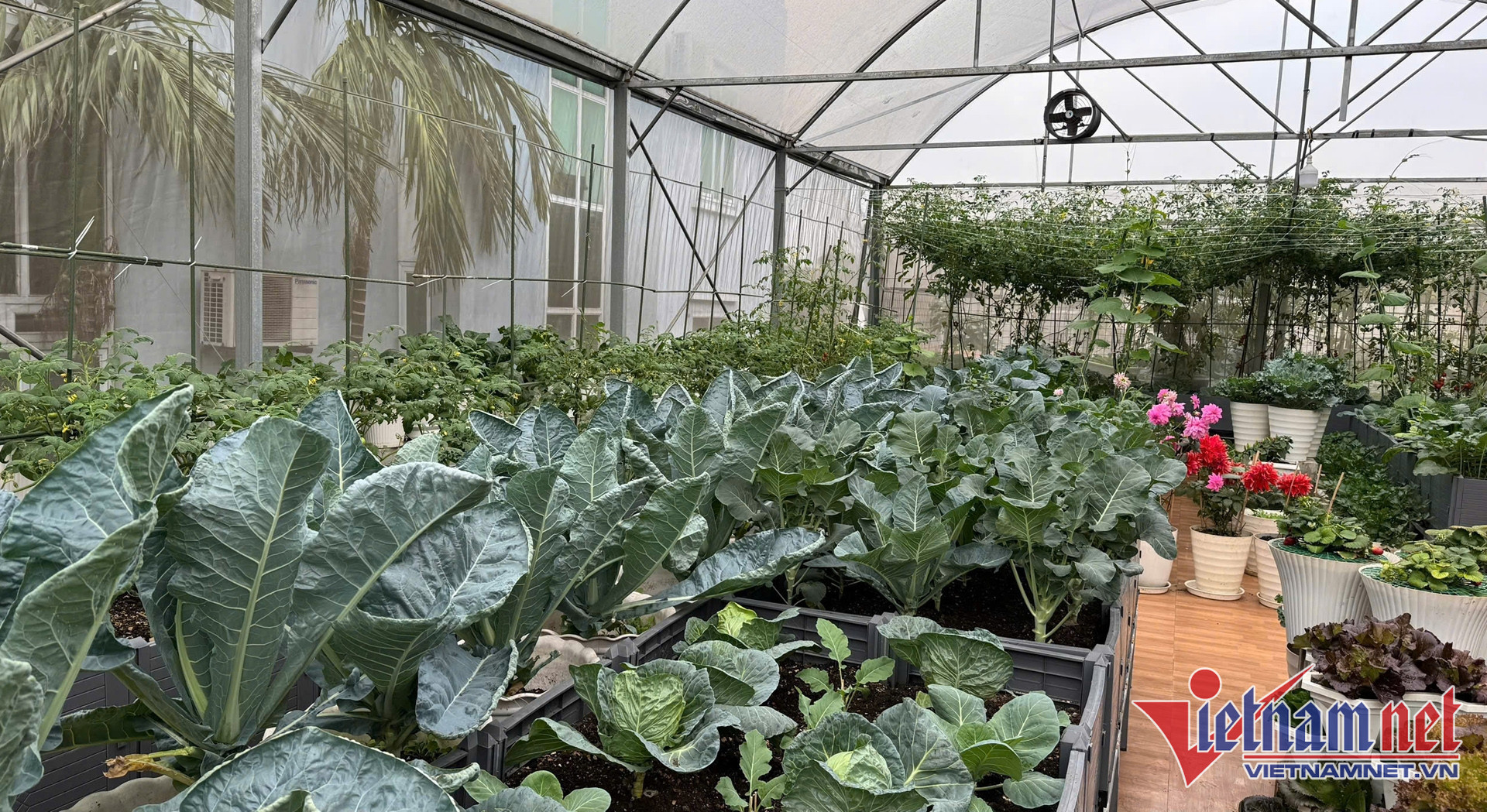 W-nong san Viet Nam 1 6.jpg