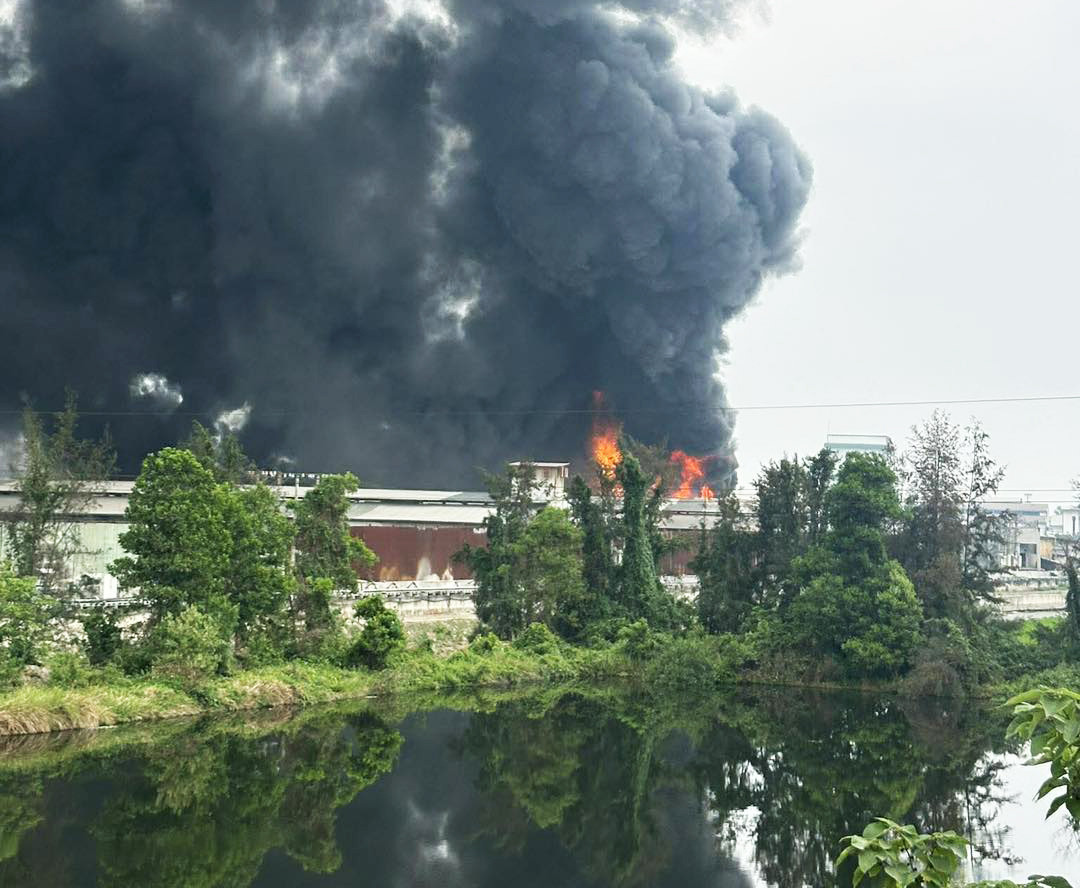 chay xuong 2 15104844.jpeg