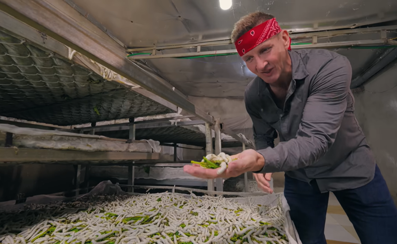 khách Tây ăn nhộng tằm.png