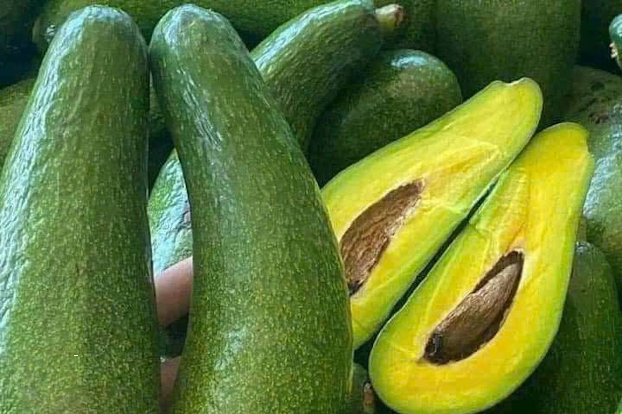  Loại quả béo ngậy, trợ thủ cho người giảm cân và mắc bệnh tim mạch 