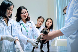 Nguyễn Thị Lan 1.jpg