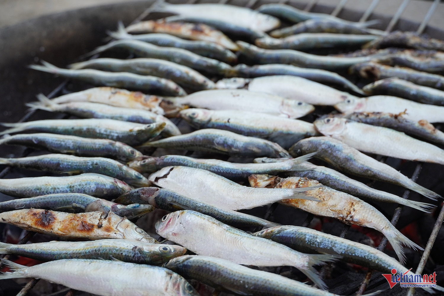 W-cá trích nướng.JPG.jpg