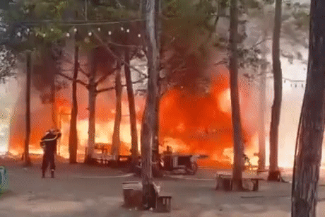 Bản tin chiều 27/3: Nguyên nhân vụ cháy khu kinh tế đêm ở Măng Đen