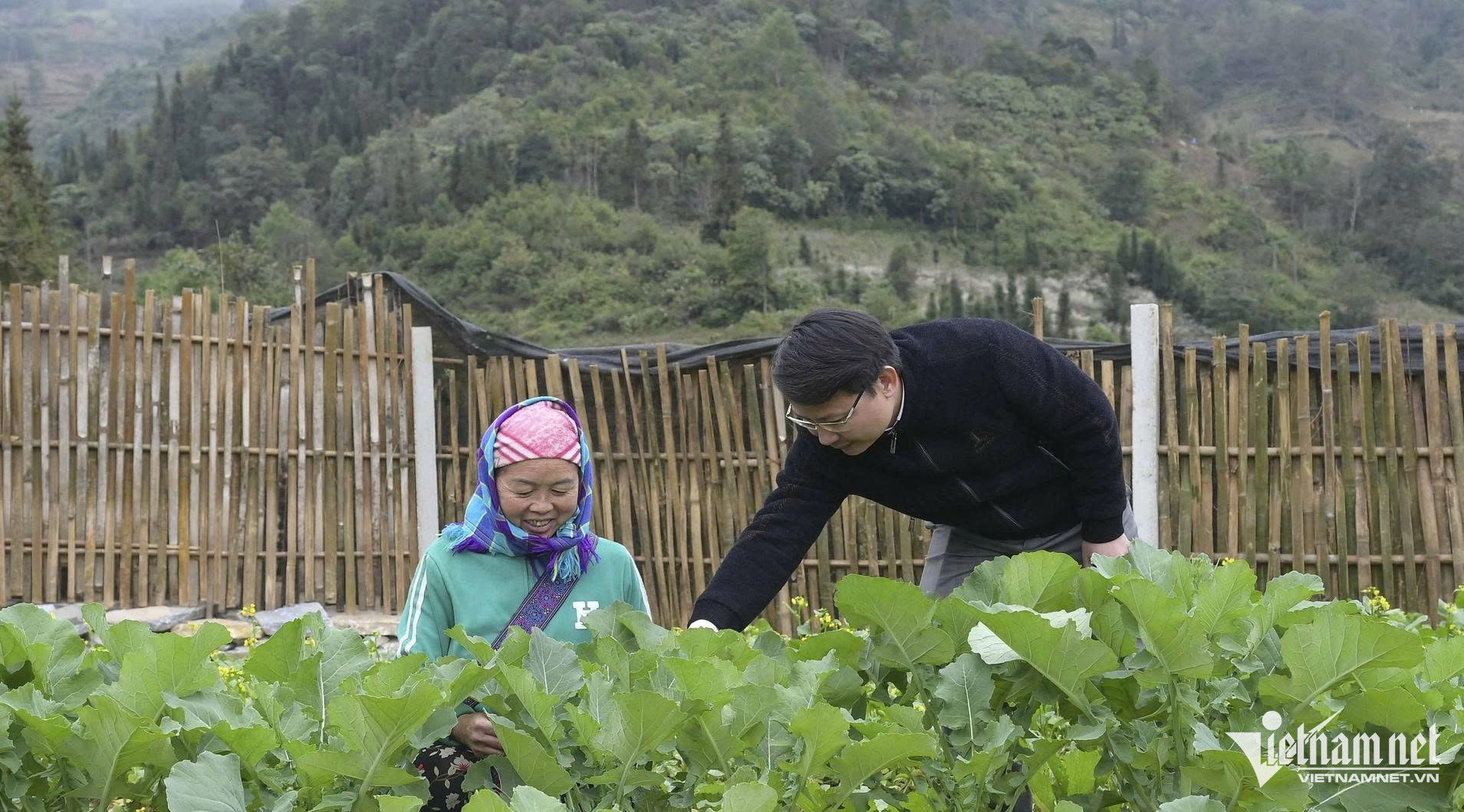 W-Phó Bí thư Thường trực Đảng ủy xã Tả Củ Tỷ Bùi Văn Vinh cùng người dân chia sẻ về cây trồng.jpg