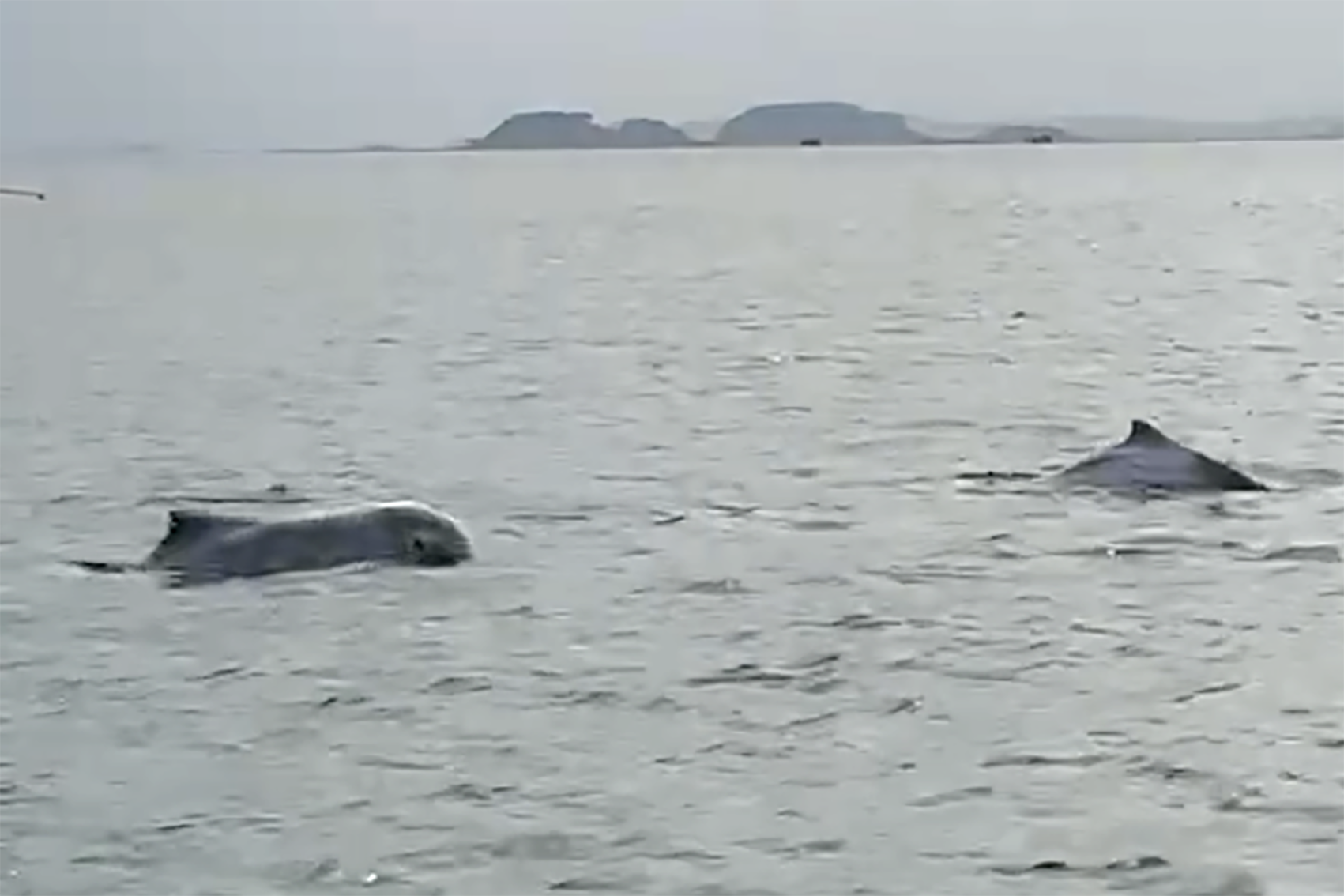 Ảnh chụp Màn hình 2026 03 28 lúc 17.52.57.png