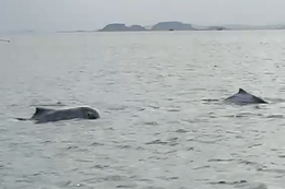 Ảnh chụp Màn hình 2026 03 28 lúc 17.52.57.png