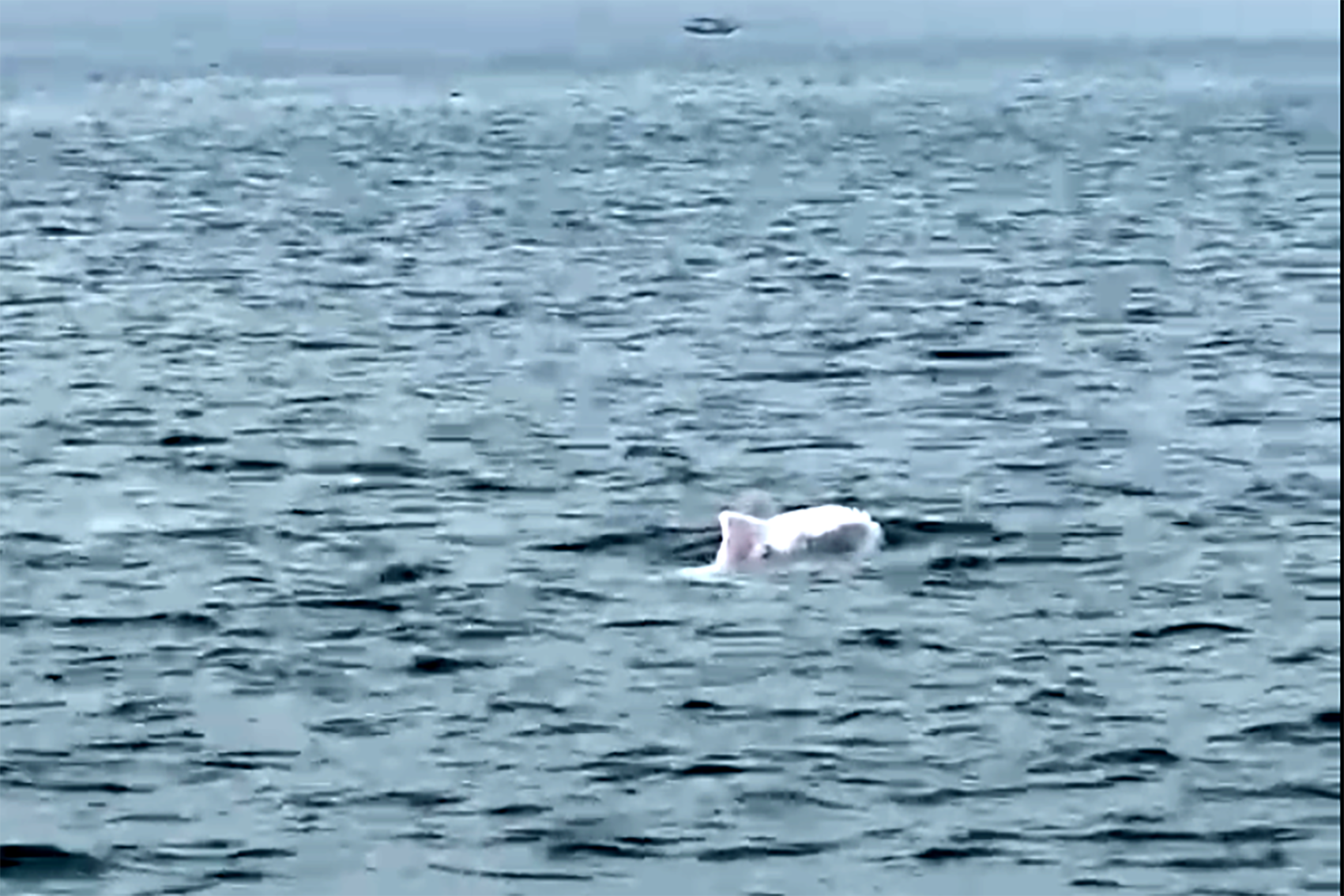 Ảnh chụp Màn hình 2026 03 28 lúc 17.53.58.png