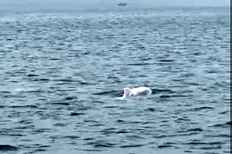 Ảnh chụp Màn hình 2026 03 28 lúc 17.53.58.png