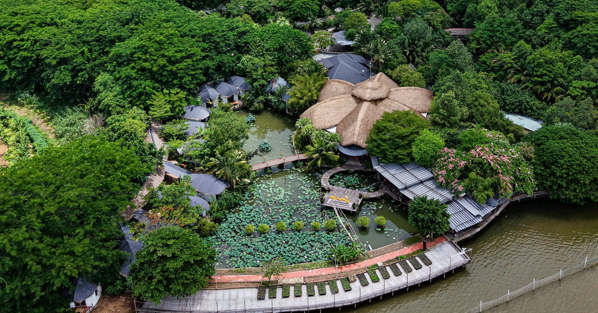 Anh em ruột ở Cần Thơ ‘từ mặt’ vì gần 2.400m2 đ...