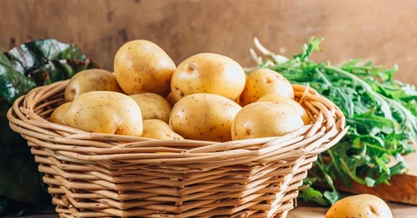 Điều gì xảy ra với đường huyết khi bạn ăn khoai tây thường xuyên?