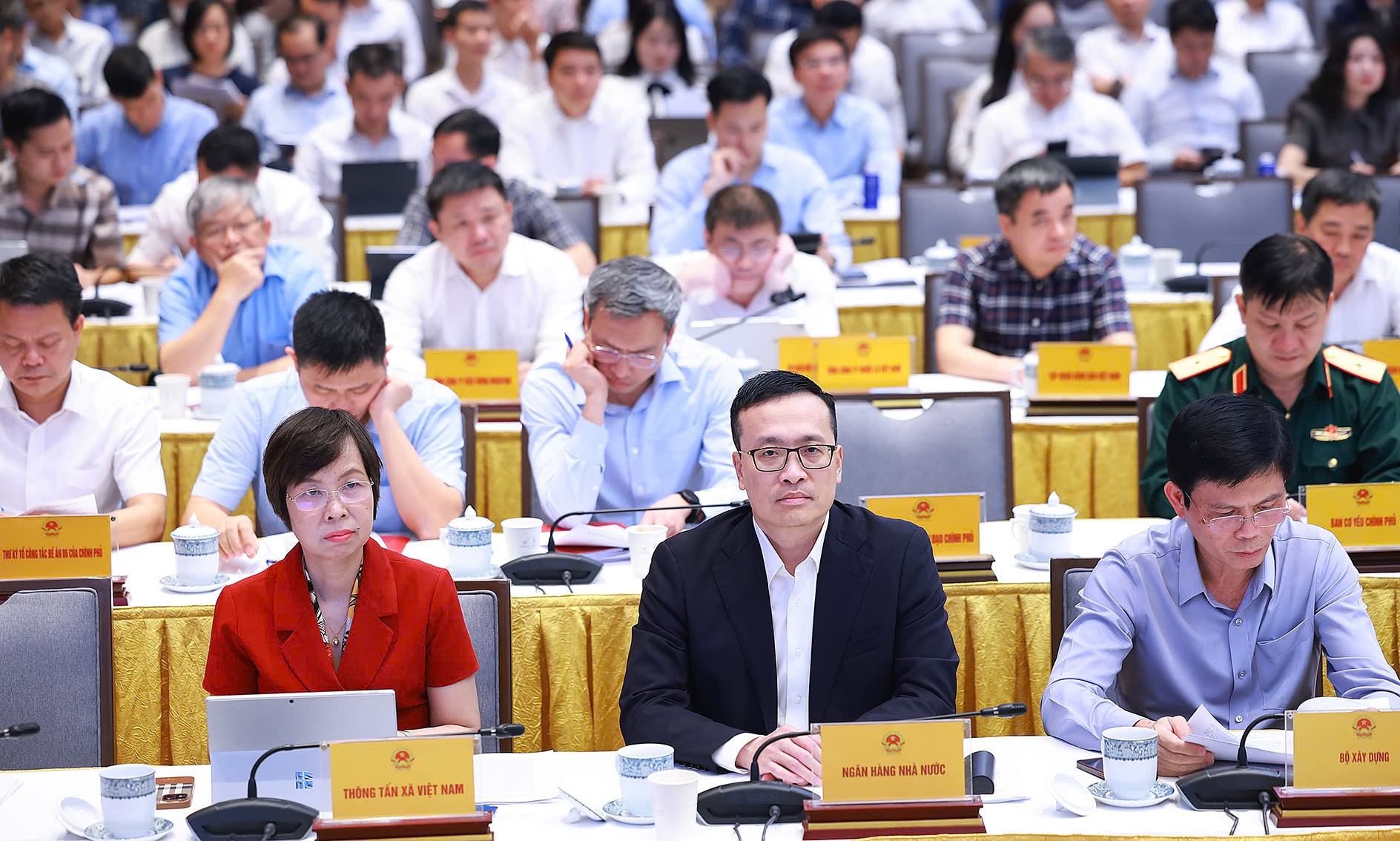 img8239 1774685759101396083146.jpg