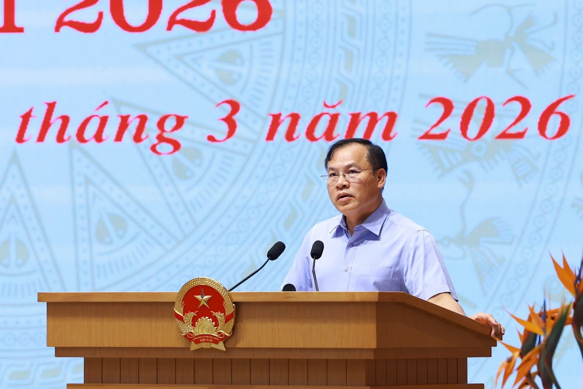 img8247 1774694498734727394776.jpg