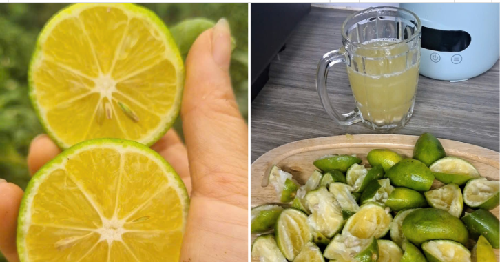 Trào lưu coi chanh là "thần dược" chữa bách bệnh