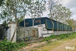 W-a1Công ty giày gây ô nhiễm.jpg