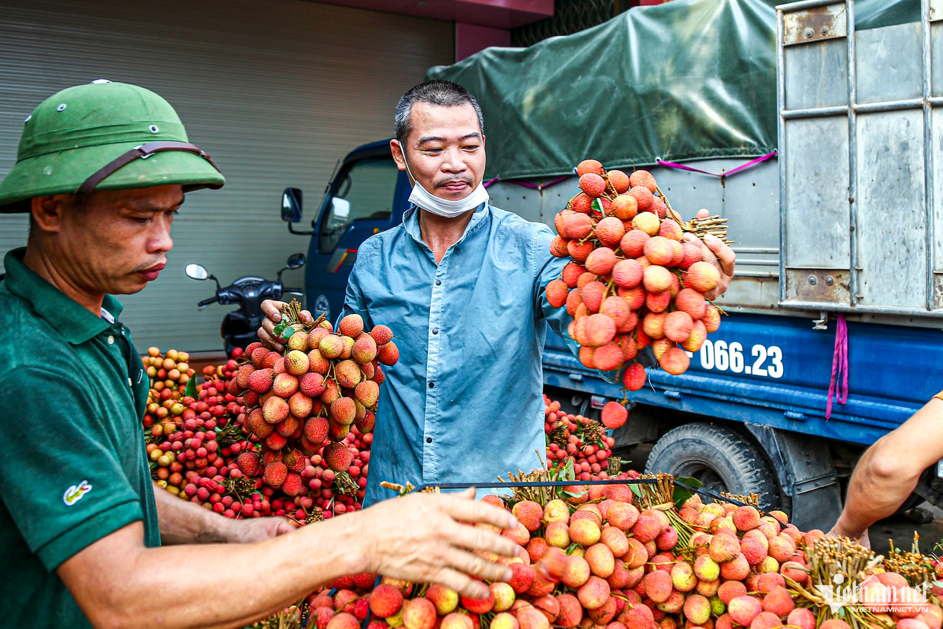 W-vải bắc giang_4.JPG.jpg