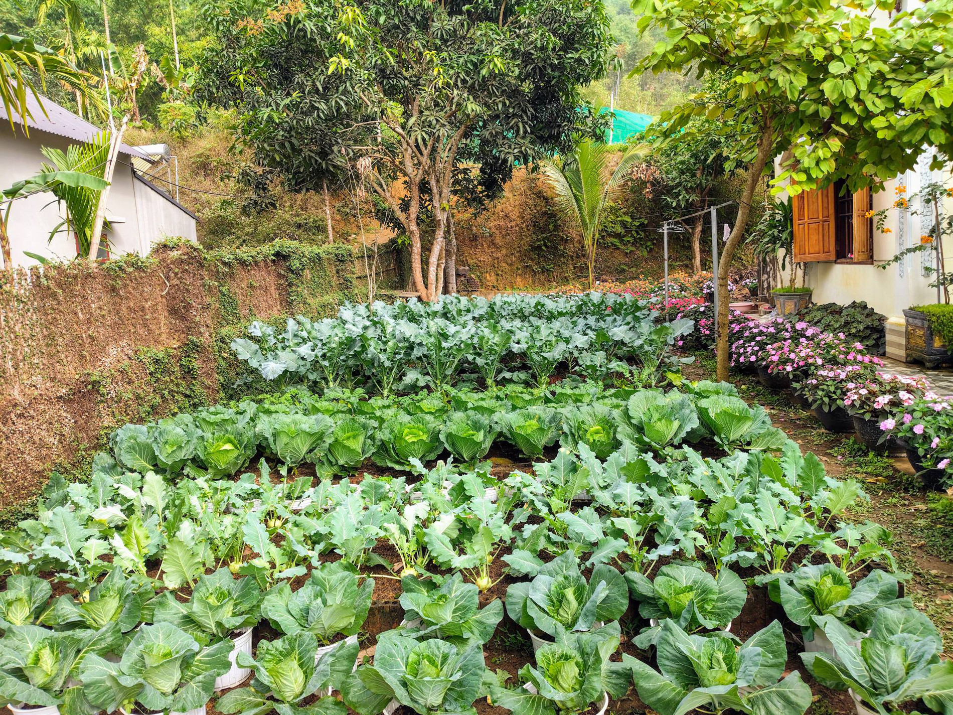 nhà vườn đẹp ở Thanh Hóa 7.jpg