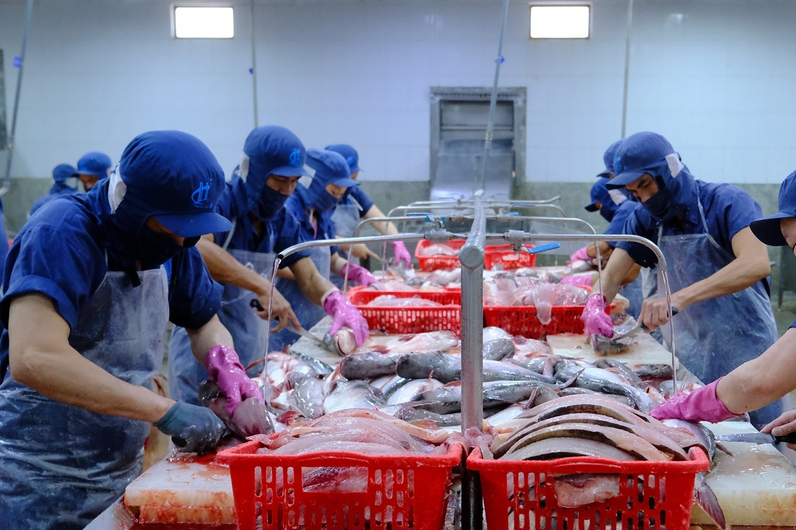 Thủy sản Việt đối mặt phép thử lớn giữa cú sốc vận tải biển