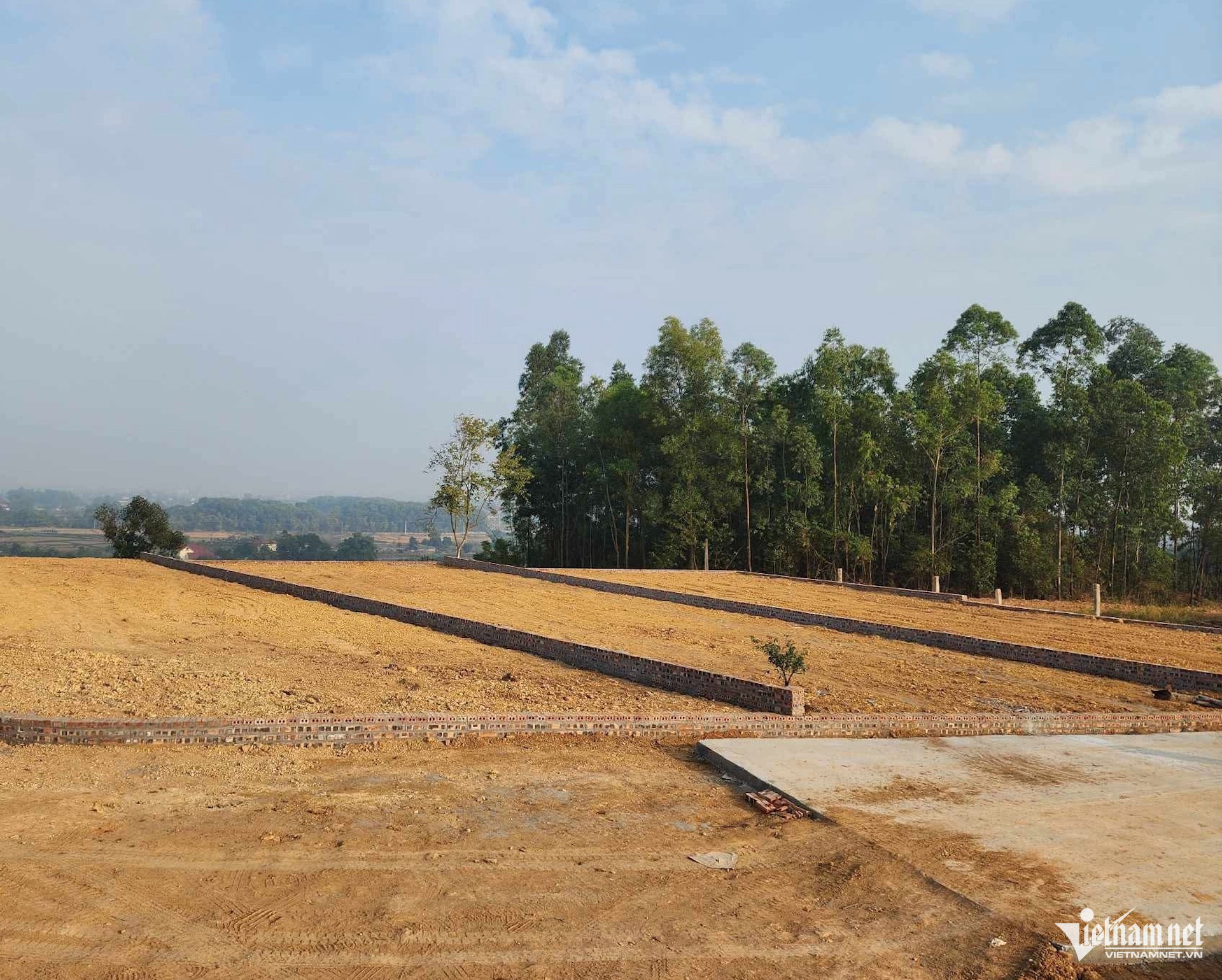 W-tach thua vietnamnet.jpg