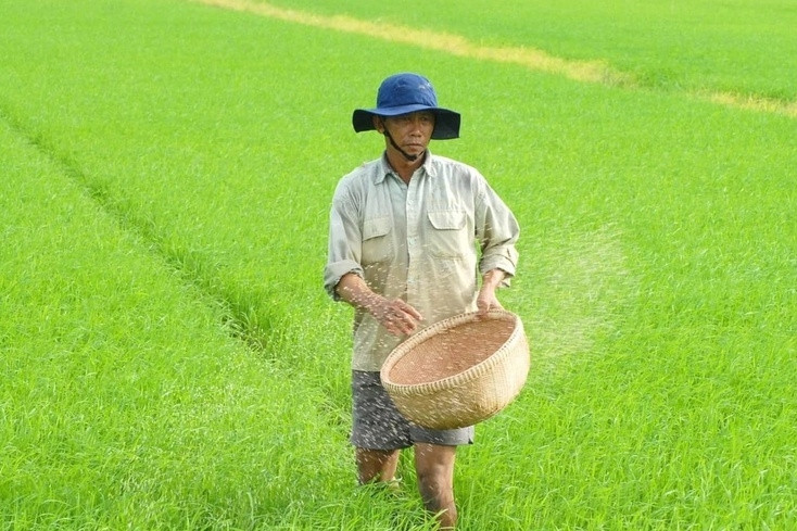 Doanh nghiệp, hiệp hội chung tay giữ nhịp sản xuất nông nghiệp