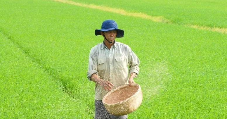 Doanh nghiệp, hiệp hội chung tay giữ nhịp sản xuất nông nghiệp