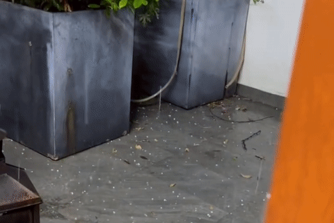 Hà Nội bất ngờ mưa đá lúc rạng sáng, nhiều người tỉnh giấc