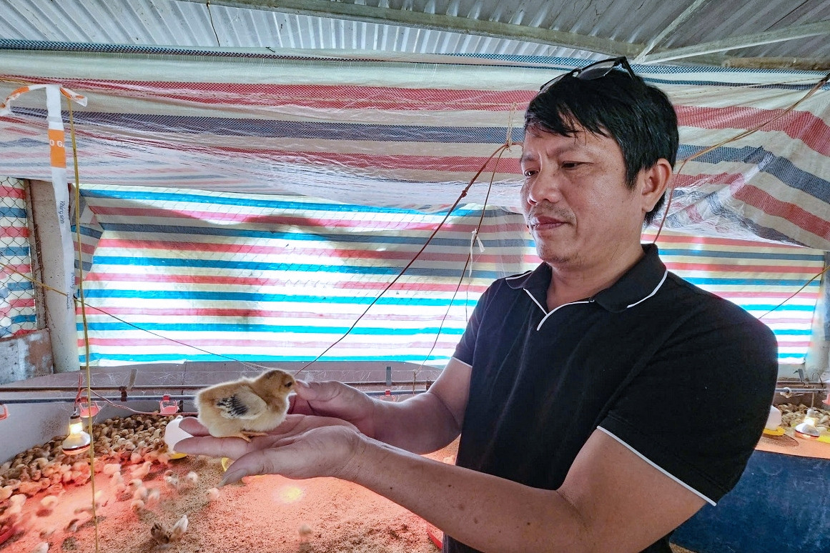 Chủ nông trại gác lại bằng bác sĩ thú y, thu gần 9 tỷ đồng/năm từ lai tạo loài bản địa