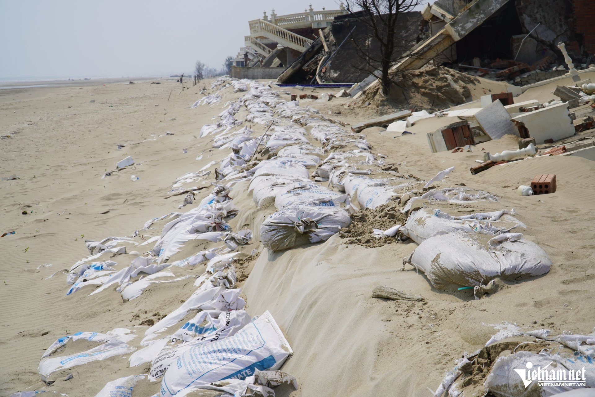 W-a Xuân Thành40.JPG.jpg