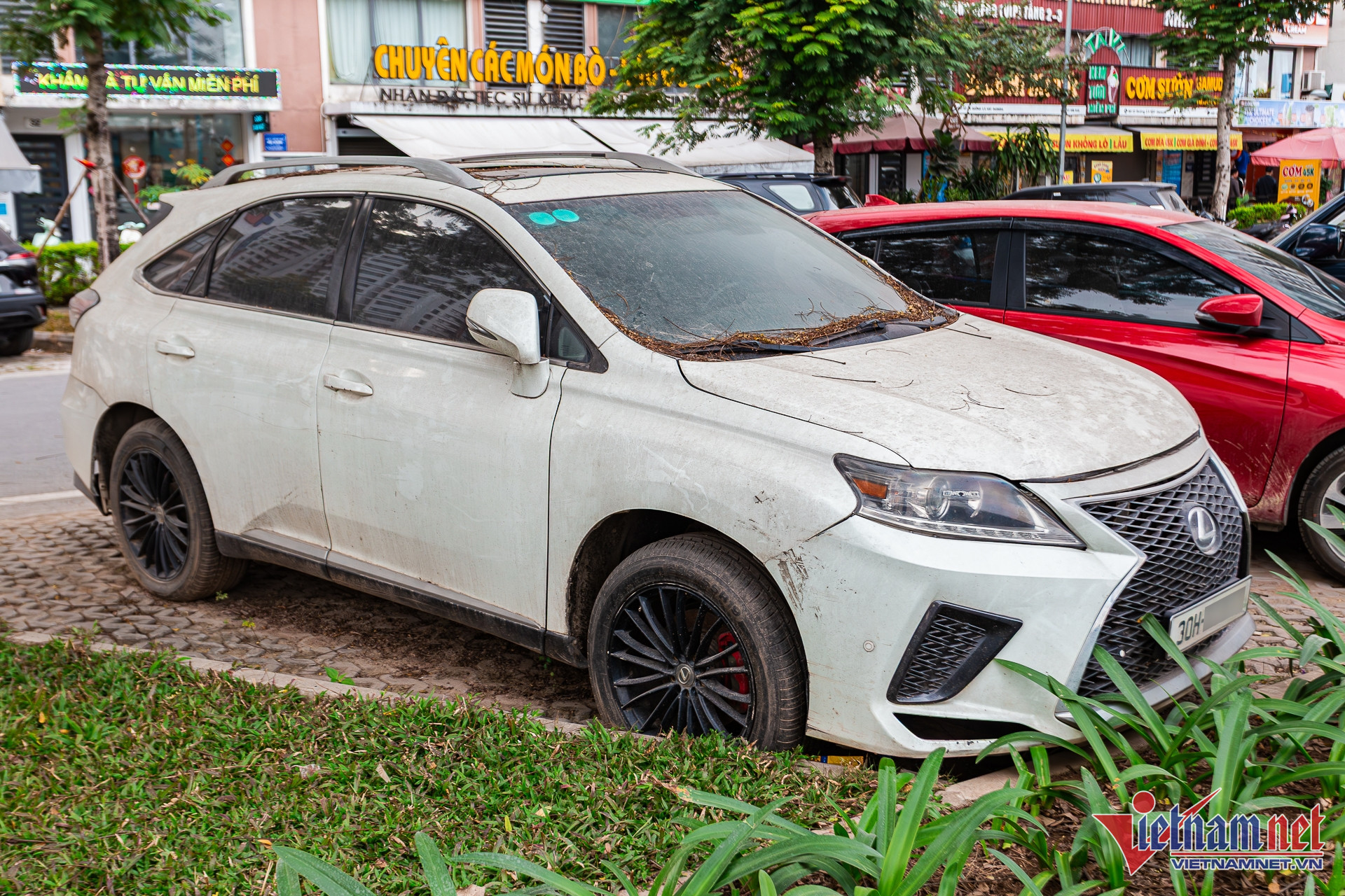 W-lexus rx 15.JPG.jpg