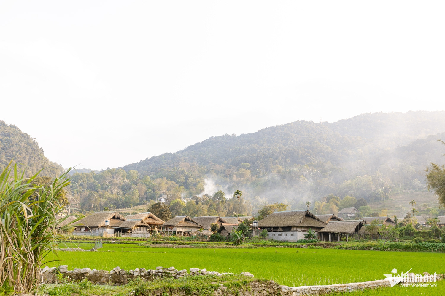 W-Vu Mung DTPT_26.jpg