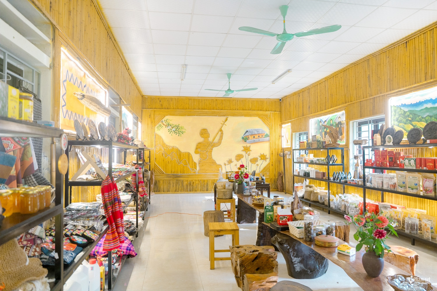 W-Vu Mung DTPT_6.jpg