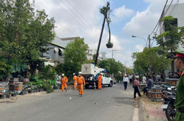 Xe tải cẩu cây cảnh vướng dây điện, một người bị giật tử vong ở lâm đồng.jpg