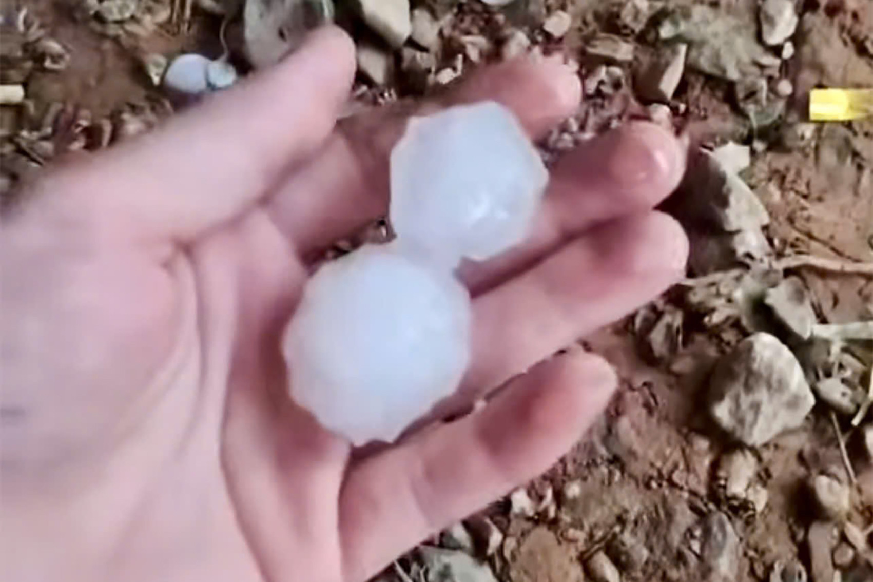 313461fa 301a 4f1e a9e9 e9ec44c6c761.jpeg