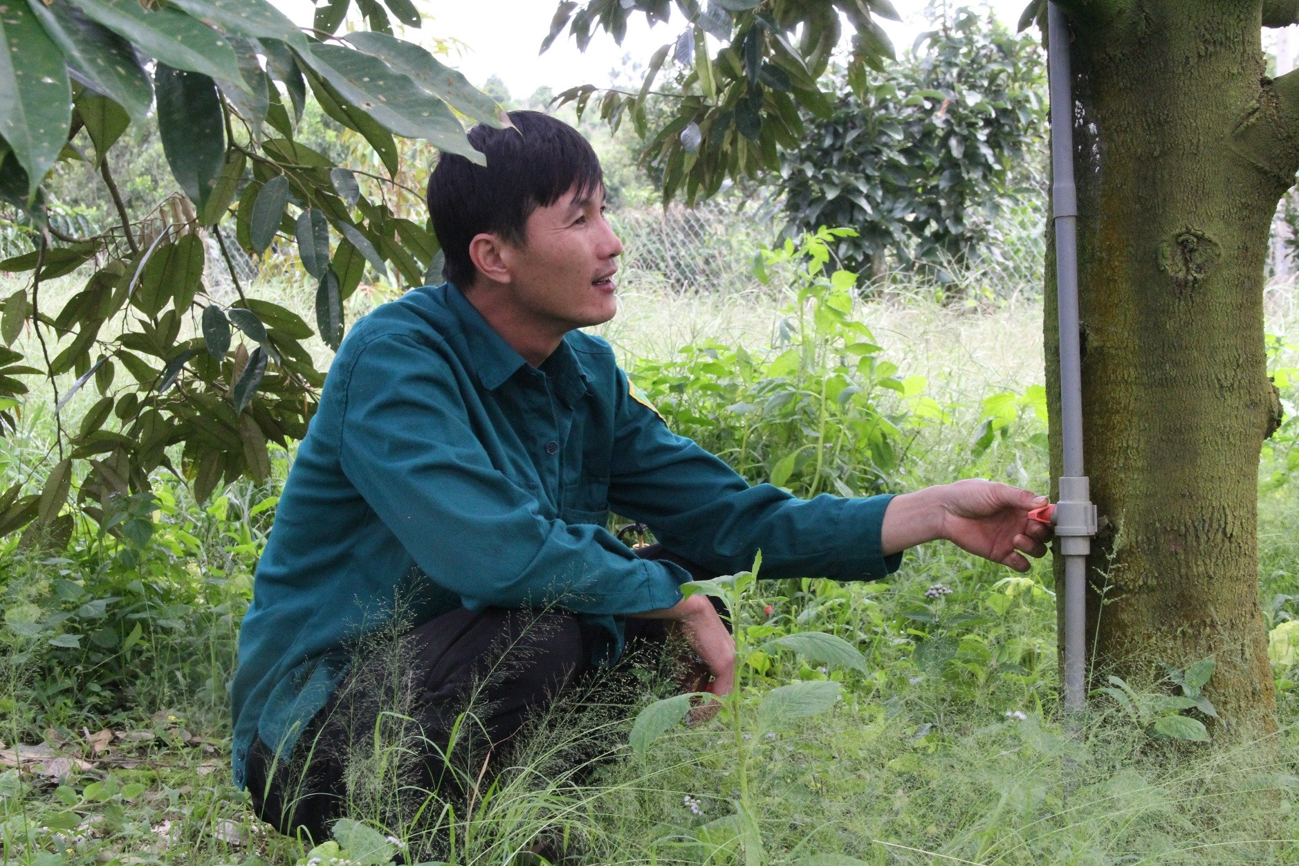 Biến động xăng dầu: Người dân Tây Nguyên chuyển điện mặt trời, đổi cách tưới cây