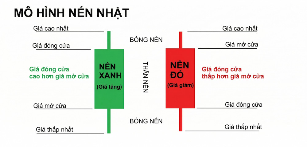 mo hinh nen nhat.jpg