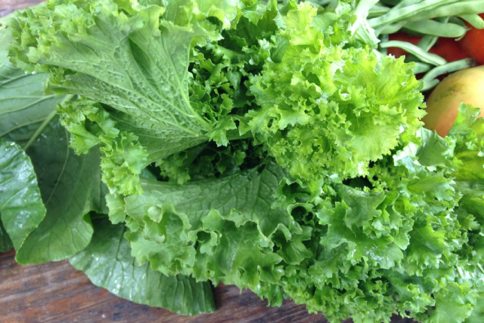 Mê đồ rau sống, thịt tái, người phụ nữ Hà Nội bị nhiều loại sán làm tổ ở gan