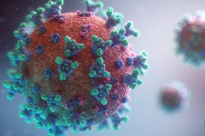 Virus EV71 tấn công trẻ mắc tay chân miệng, gây biến chứng thần kinh nguy hiểm