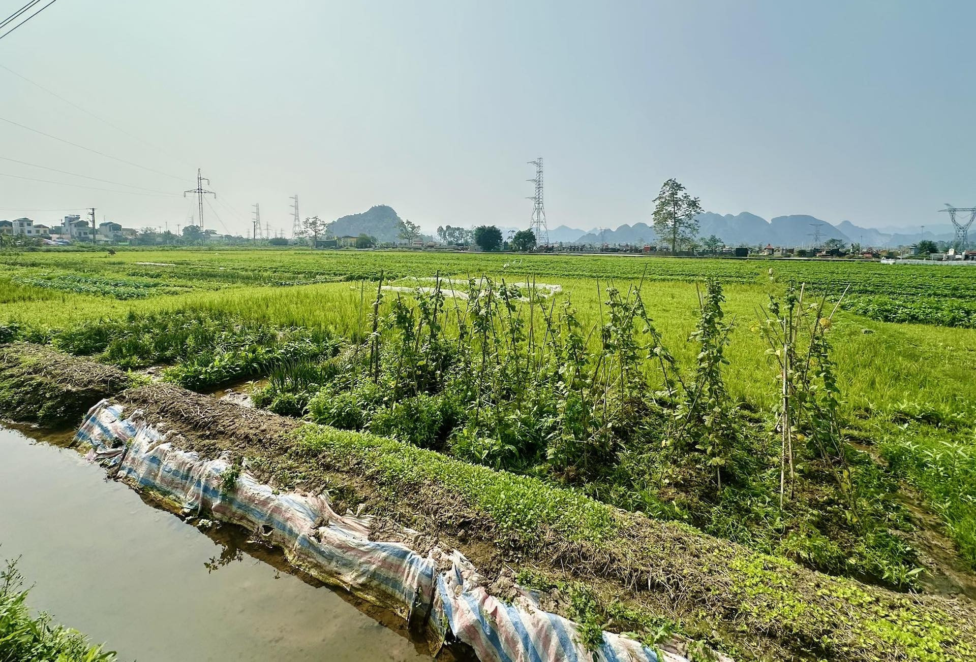  Mua đất nông nghiệp bằng giấy viết tay từ 2018, có được cấp sổ đỏ? 