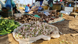 trịnh cường.png