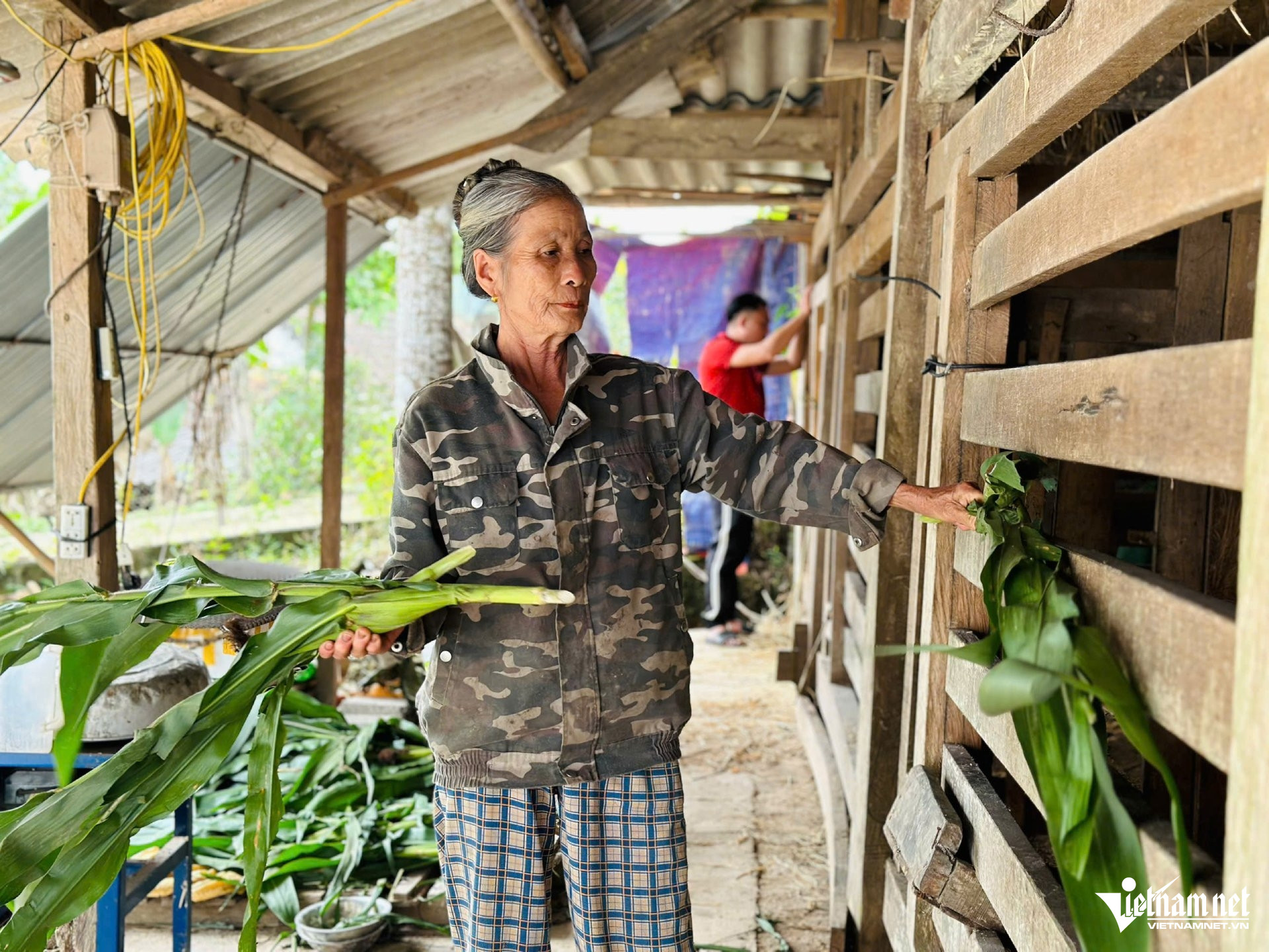 W-a nghề nuôi nhung.jpg