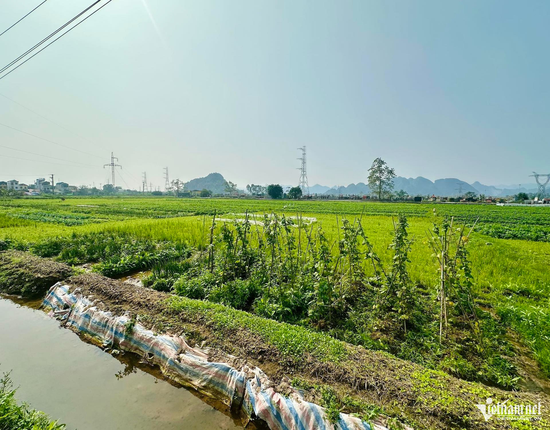 W-dat nong nghiep so do vietnamnet.jpg