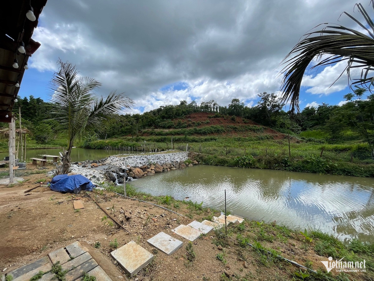 W-lấn chiếm đất.jpg