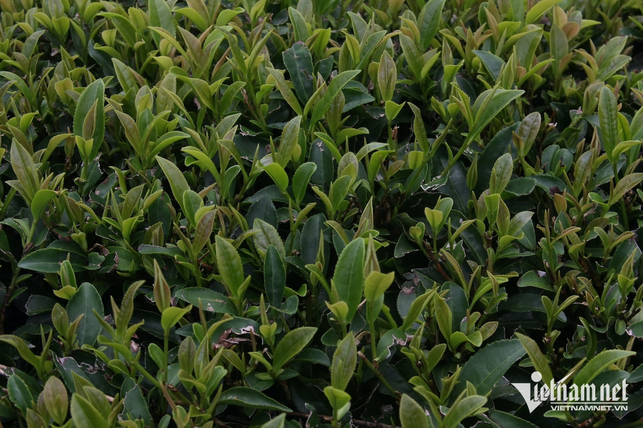 W-305b735e 351d 48e6 aec1 e348de00172b.jpeg